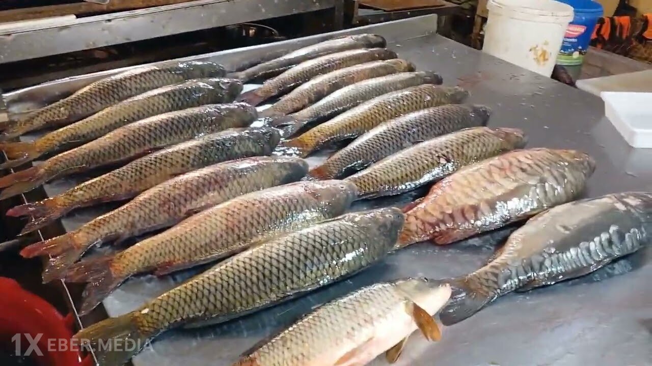 “Vosmoy bazarı"nda antisanitar vəziyyət hökm sürür - Məsuliyyəti kim daşıyır? (VİDEO)