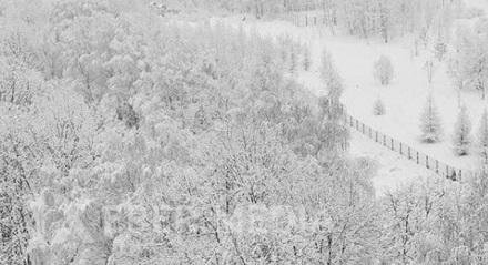 Moskvaya ilk qar yağdı