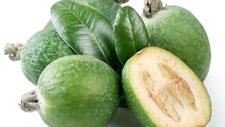 Feyxoanın MÖCÜZƏVİ FAYDALARI