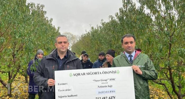 Kənd Təsərrüfatı nazirinin "sığorta əməliyyatı"