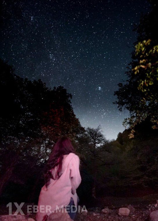 Leyla Əliyeva Qəbələdə