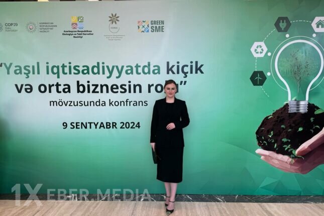 Günəbaxan istehsalında yeni mərhələ – “Agromix”dən fermerlərə unikal model