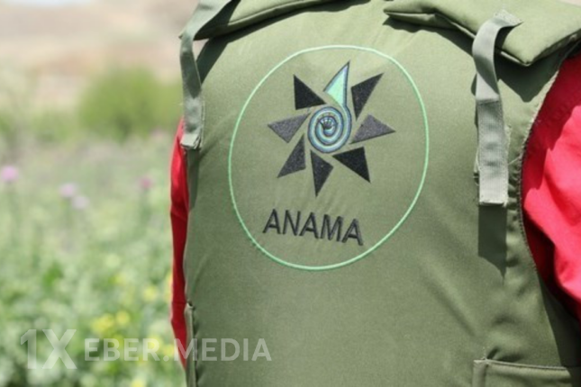 Agentlik itlər üçün biri 83 min manata 20 ədəd maşın alır