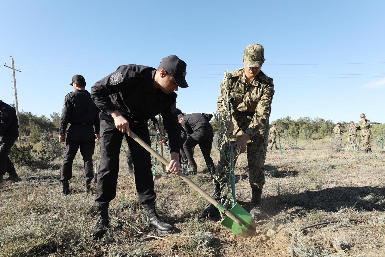 Zəfər Günü ilə əlaqədar DİN əməkdaşları növbəti ağacəkmə kampaniyası keçiriblər