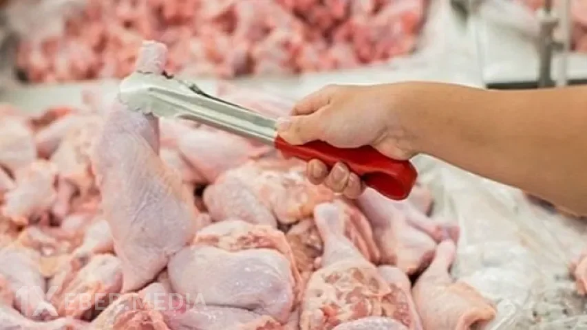 Azərbaycana bu ölkələrdən quş və heyvan məhsullarının gəitirilməsi məhdudlaşdırıldı