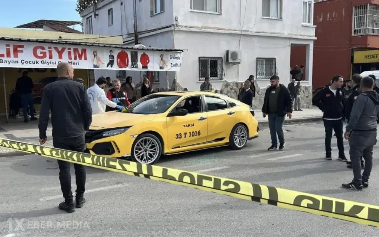 Ruhi xəstə 3 nəfəri qətlə yetirdi - Türkiyədə dəhşət