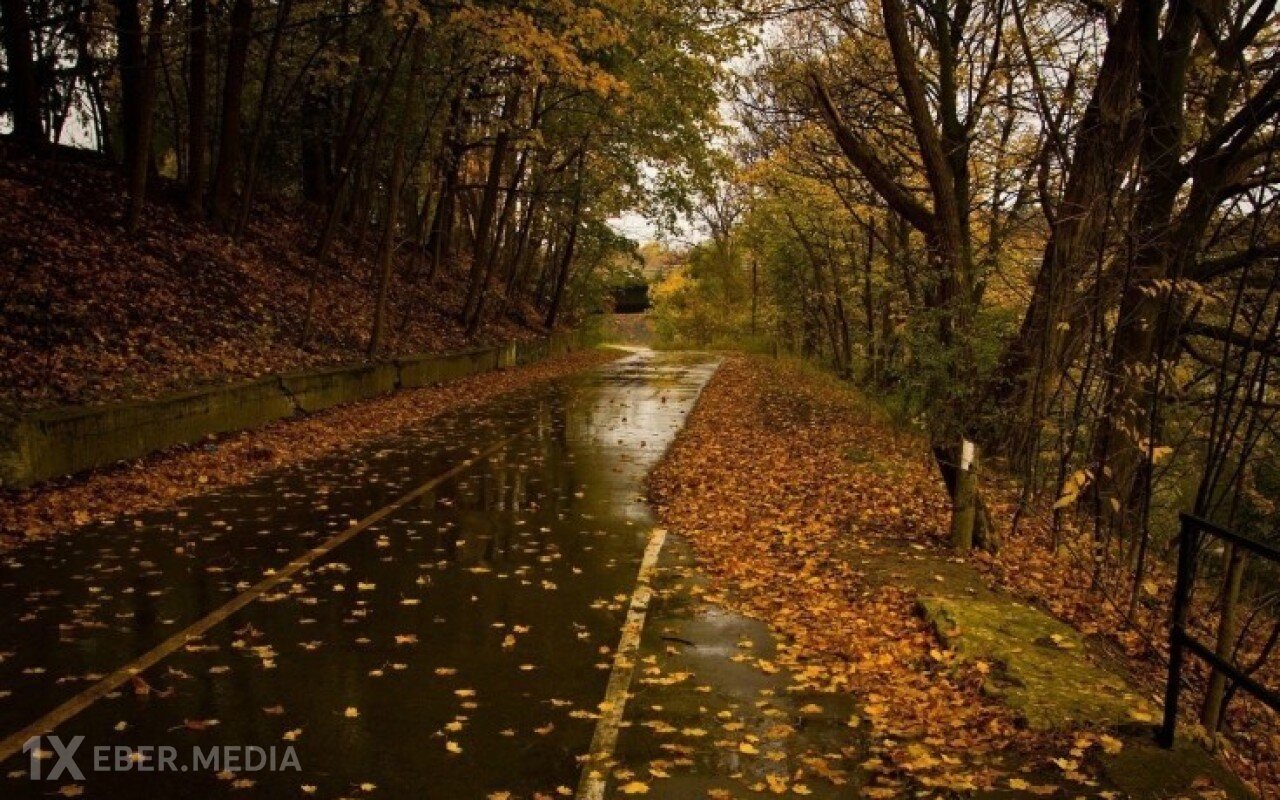 Sabahın hava proqnozu açıqlandı