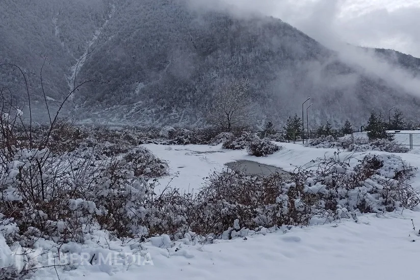 Zaqatalaya 10 sm qar yağdı