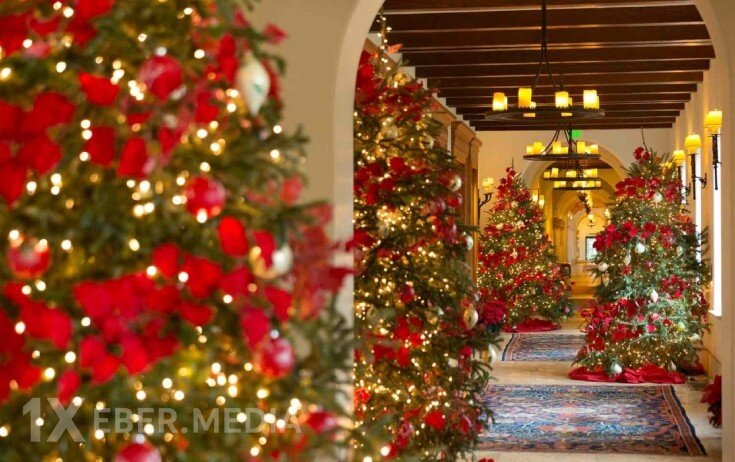 Sizi şaxta yox, bu qiymətlər donduracaq