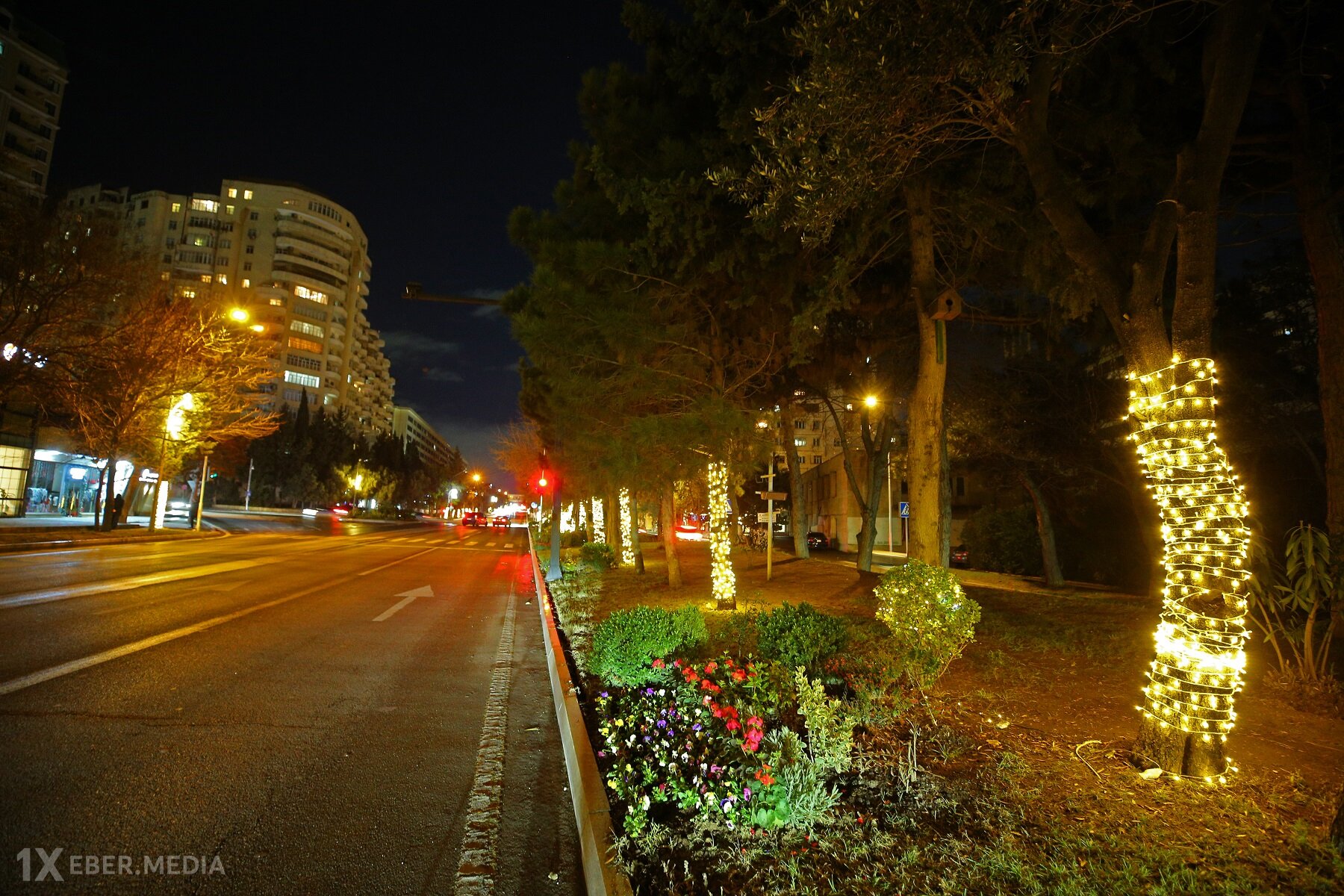 Binəqədi rayonunun prospektləri, küçələri, parkları bəzədildi