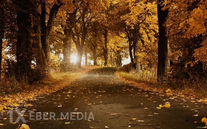 Bazar gününün hava proqnozu açıqlandı