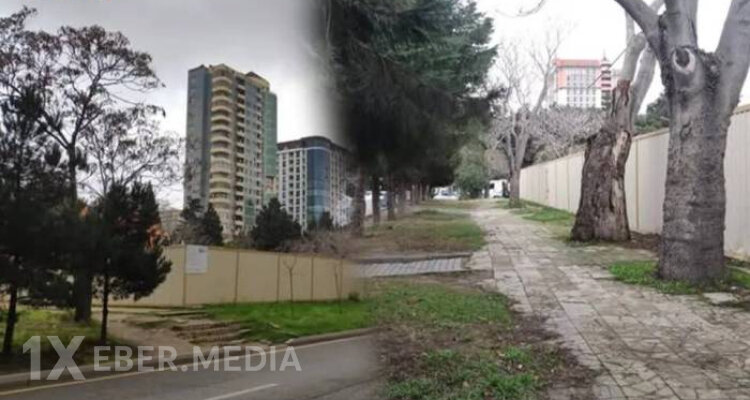 Bakının mərkəzində "YAŞIL TERROR": Rixard Zorge parkı məhv edilir?