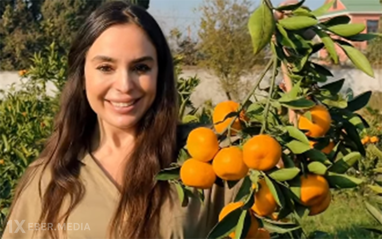 Leyla Əliyeva Lənkərandan paylaşım etdi