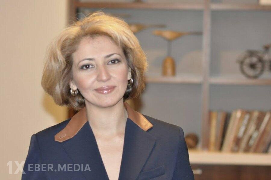 Sevinc Osmanqızı ilə bağlı ibtidai istintaq başa çatdı