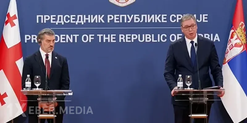 Kavelişvili və Vuçiç ikitərəfli münasibətləri müzakirə ediblər