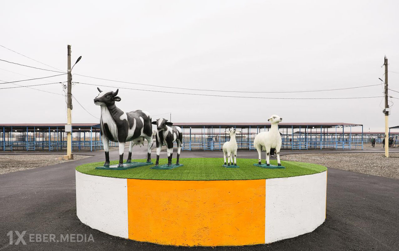 Bərdə heyvan bazarı yaxın günlərdə fəaliyyətə başlayacaq - Foto