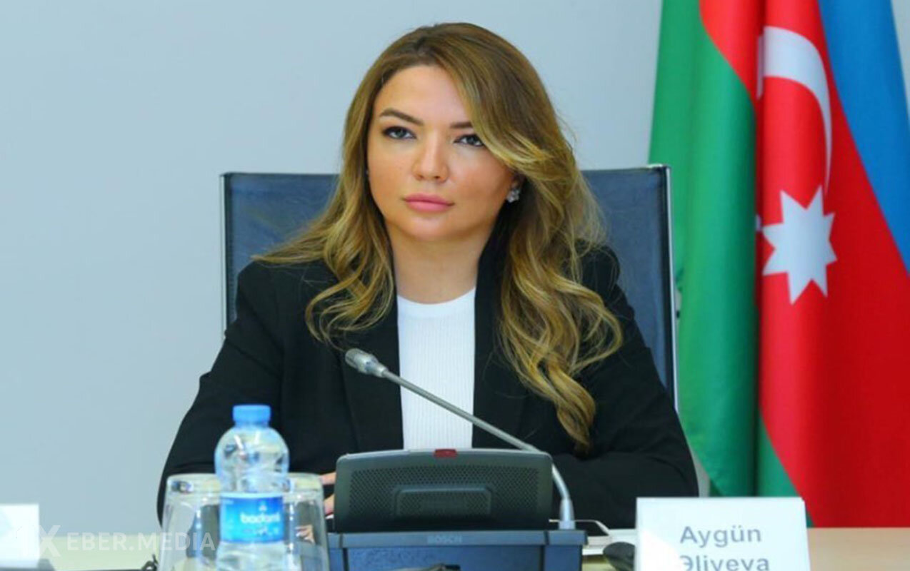 Aygün Əliyevaya yeni vəzifə verildi