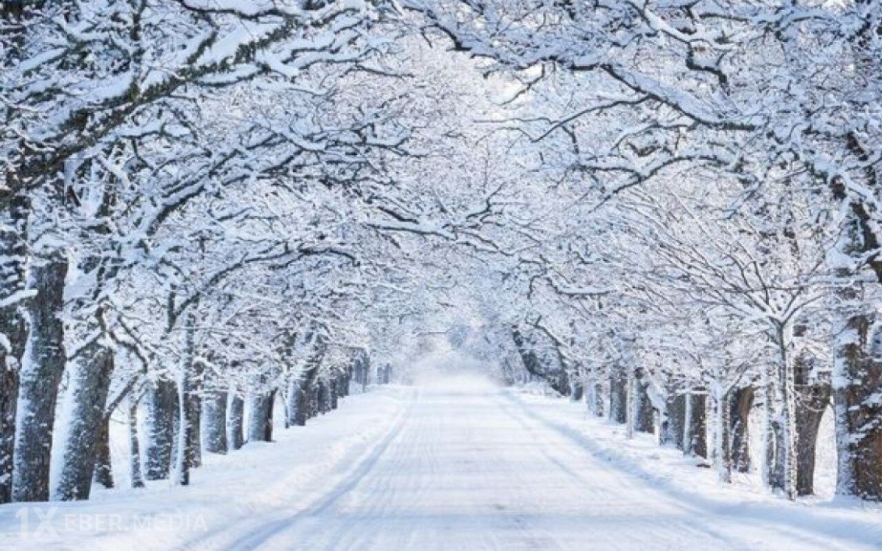 Şamaxıda yolda köməksiz qalan 5 nəfər xilas edildi