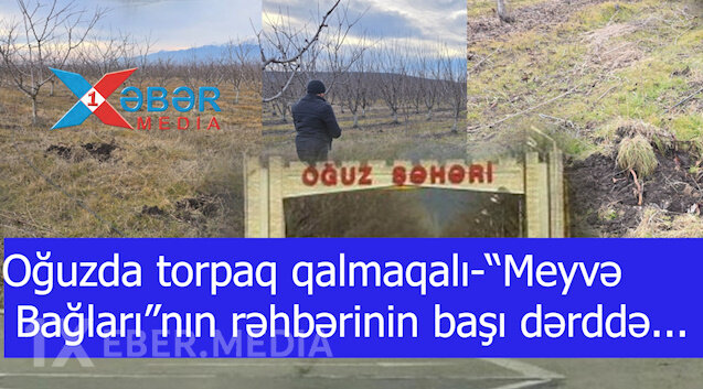 Oğuzda torpaq qalmaqalı-“Meyvə Bağları”nın rəhbərinin başı dərddə...-VİDEO