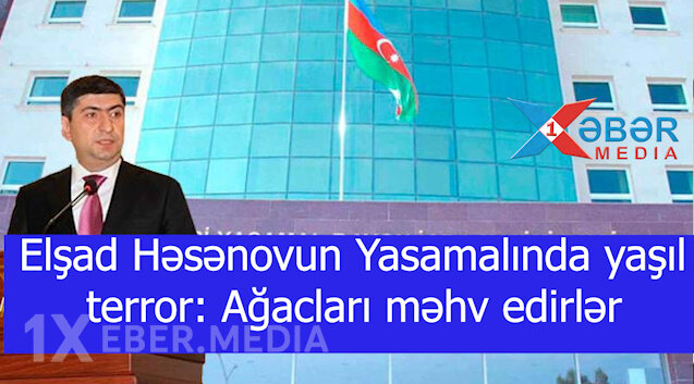 Elşad Həsənovun Yasamalında yaşıl terror: Ağacları məhv edirlər-VİDEO