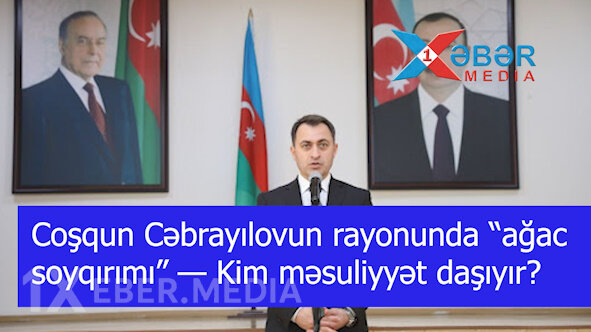 Coşqun Cəbrayılovun rayonunda “ağac soyqırımı” — Kim məsuliyyət daşıyır?-VİDEO