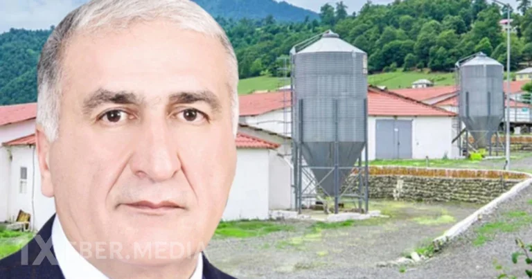 İqbal Məmmədovun “Lerik Broyler”i fəaliyyətini dayandırdı – Sabiq deputatın biznes imperiyası çökür?