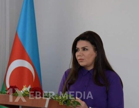 Nəsimidə icra başçısı vəzifəsi niyə birinci müavinə tapşırılmadı?