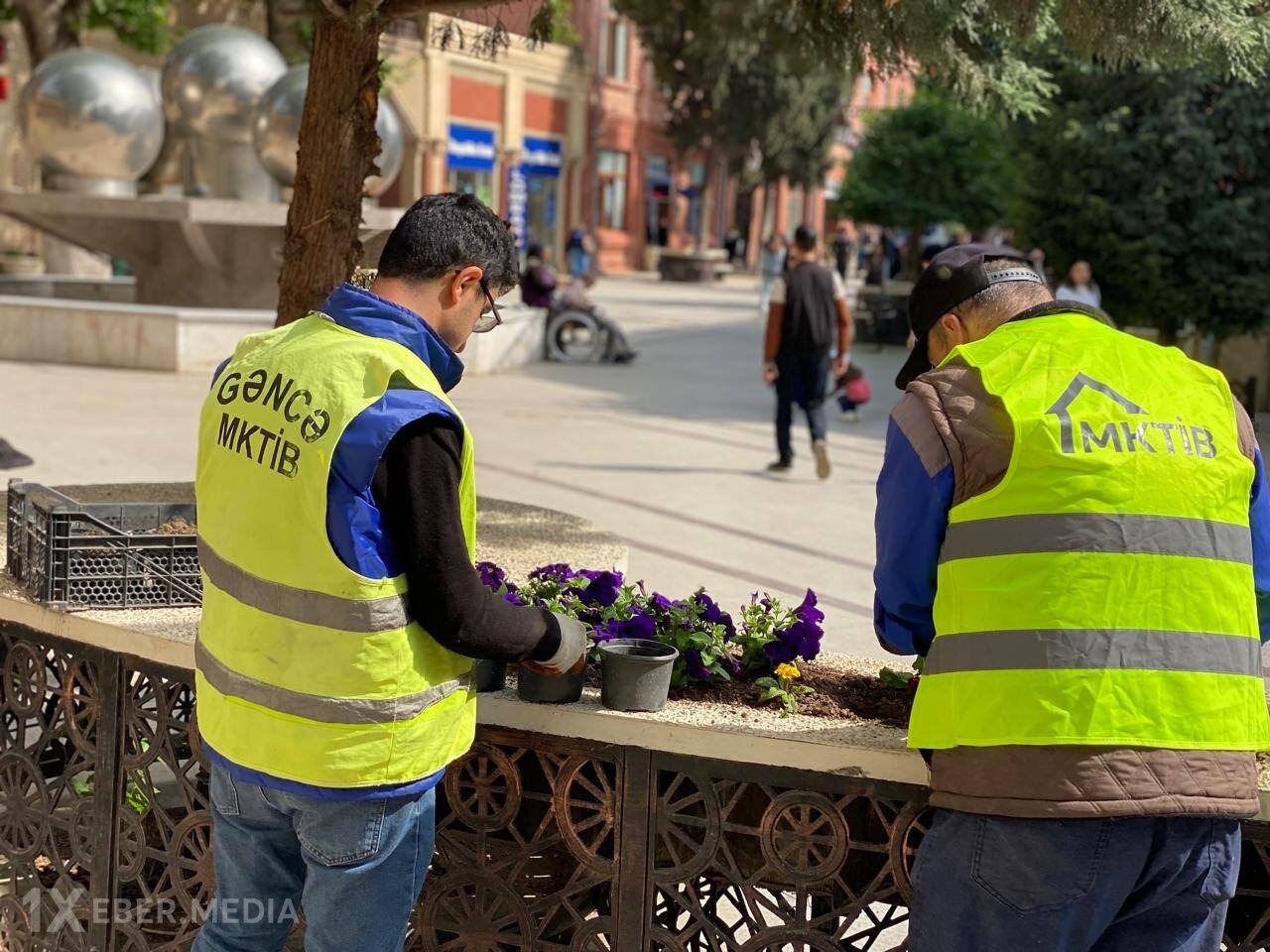Gəncədə Mənzil-Kommunal Təsərrüfatı İstehsalat Birliyinin bir qrup əməkdaşı məcburi işdən çıxarılır?