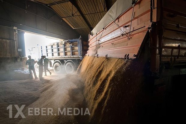 Çin Rusiya buğdasına qarşı münasibətini bildirdi