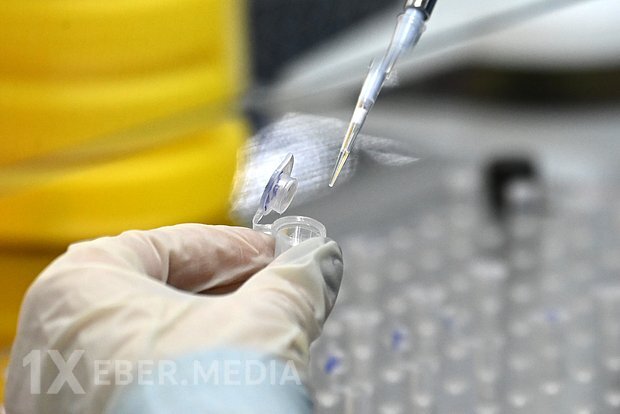 Rusiya mikroorqanizmlərin "super ştammlarını" əldə etmək istəyir