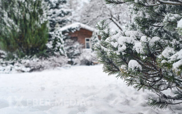 Bu ərazilərə qar yağır - Faktiki hava