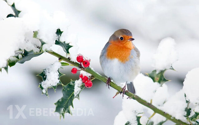 Faktiki hava açıqlandı