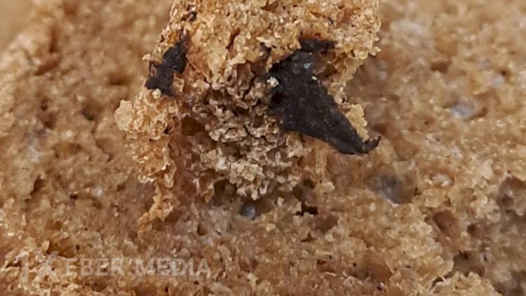 “Çörəkçi”nin çörəyinin içindən zibil çıxdı