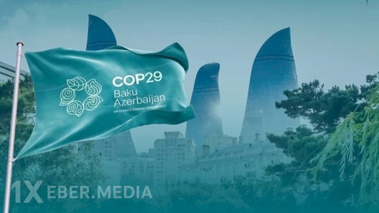 COP29 Azərbaycan Əməliyyat Şirkəti ləğv edildi