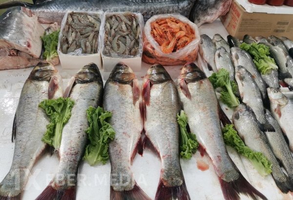 Azərbaycanda farelin qiyməti bahalaşdı