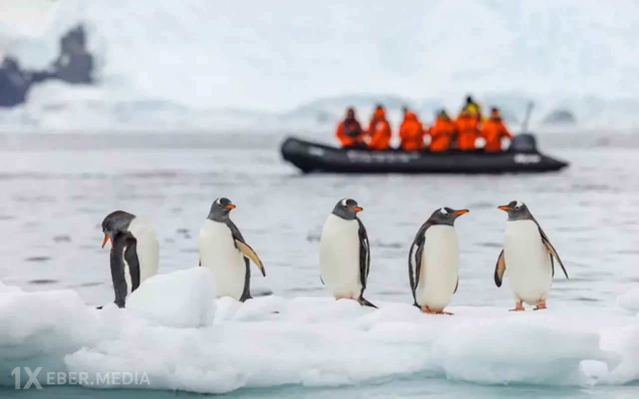 Antarktida iş elanı - 70 min manat maaş, limitsiz yemək...