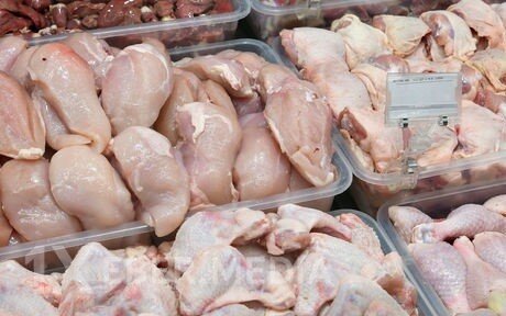 Türkiyə toyuq məhsullarının ixracını dayandırır