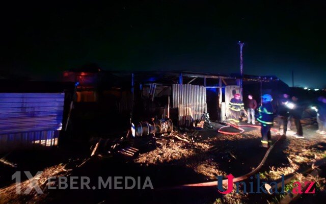 Şəmkirdə istixana yandı