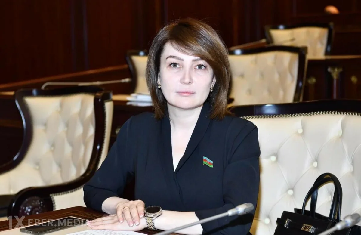 Azərbaycanda nazir müşaviri 2 min manat cərimələndi