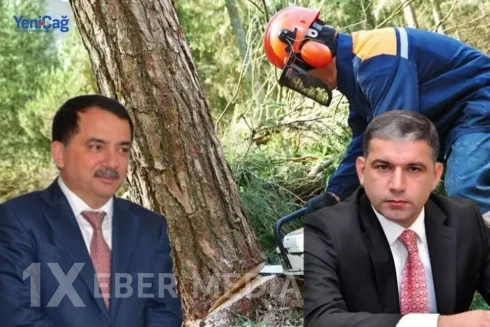 Rəcəb Babaşovun qərarı, yoxsa Elşən Şirinovun səhlənkarlığı?