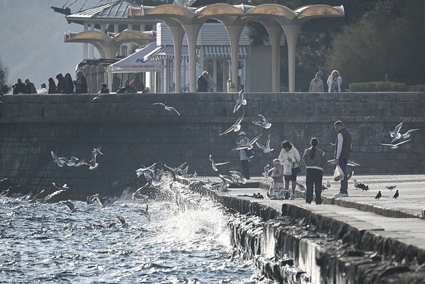 Ruslar toy turizminə aşiq olublar