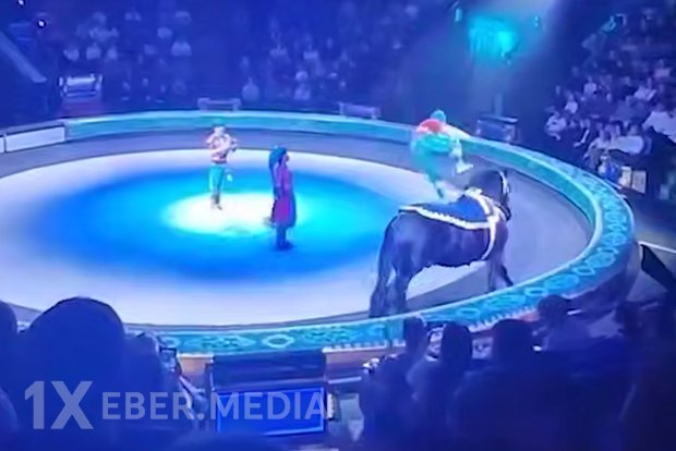 Rusiyada sirk ifaçısı tamaşa zamanı ayağını sındırıb və videoya çəkilib