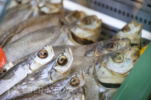 Rus ailəsi mağazadan alınan balığın qablaşdırmasında civə qranulları tapıb