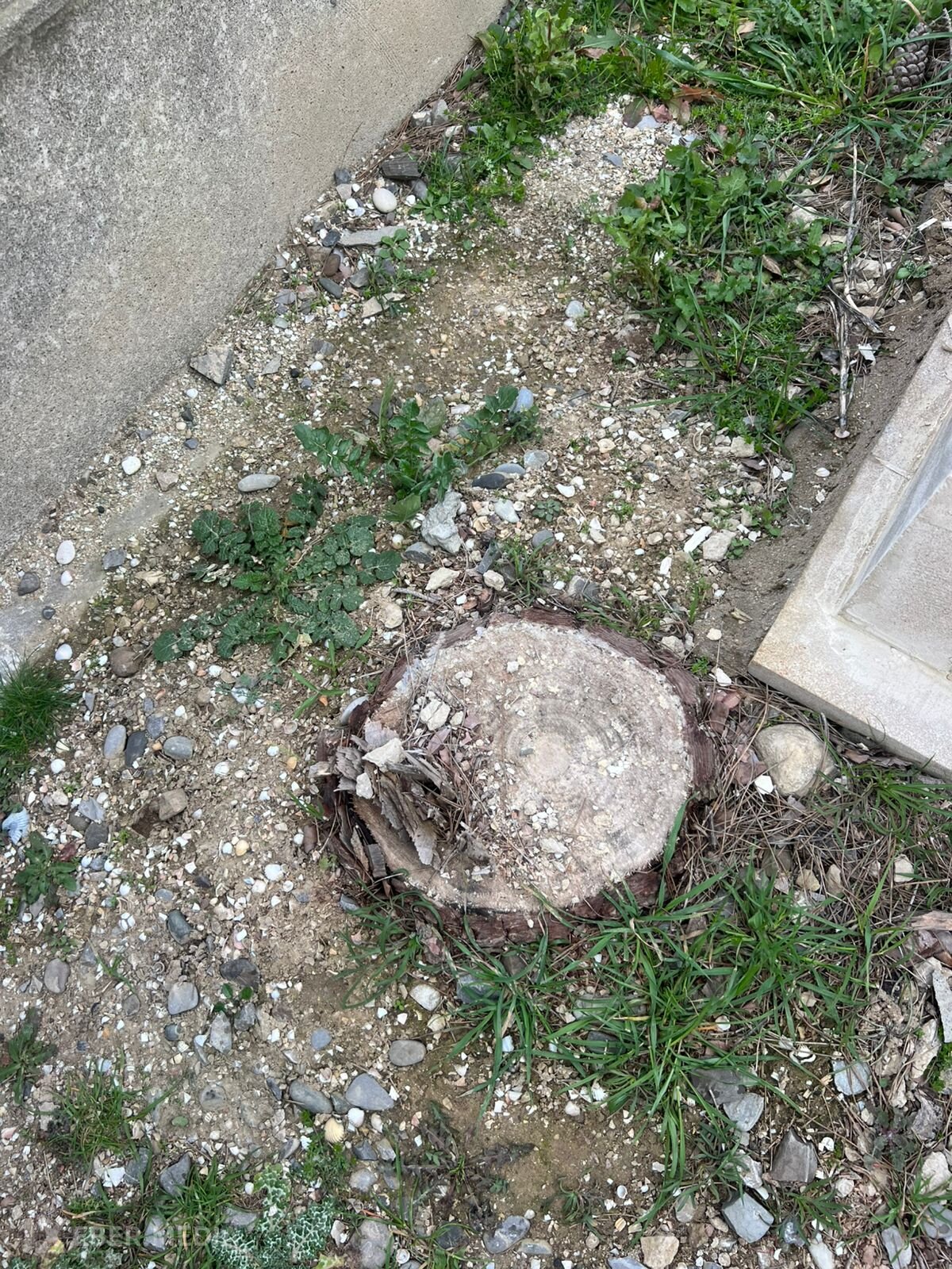 Bakıda qəbiristanlıqda qalmaqal - Nazirlik və polis işə qarışdı