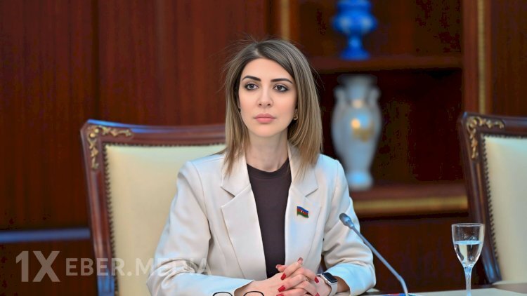 Xanım deputat seçicilərini belə aldadır - Həm də rəsmi qəzet vasitəsilə