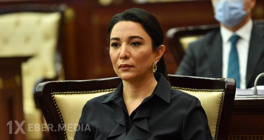 Səbinə Əliyevaya Milli Qəhrəman adı verilsin, Ombudsmanın büdcəsi on dəfə artırılsın