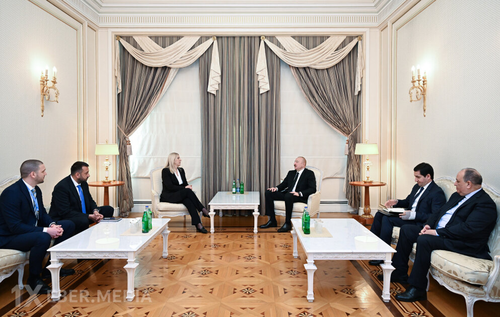 Prezident Jelka Tsviyanoviç ilə görüşdü