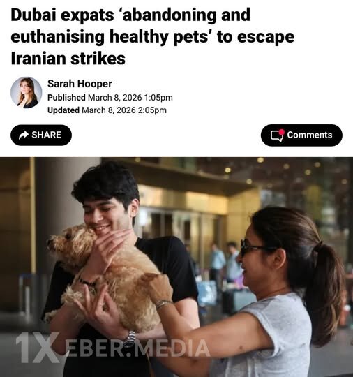 Müharibəyə görə bəzi  şəxslər sağlam ev heyvanlarını inyeksiya ilə öldürtməyə başlayıblar