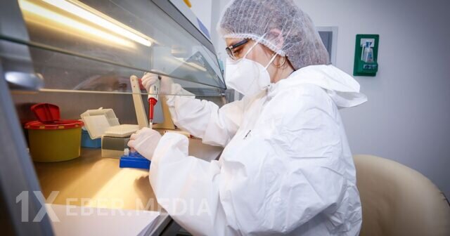 Milyonluq laboratoriya oyunu – Araşdırma sensasion detalları üzə çıxardı