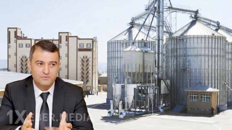 Naxçıvanda taxıl qalmaqalı - Milyonluq ittiham, həbs və sensasion açıqlamalar